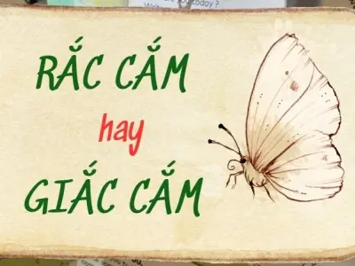 Rắc cắm hay giắc cắm đúng chính tả khiến nhiều người sai sót