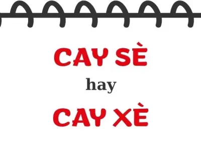 Cay xè hay cay sè đúng chính tả trong tiếng Việt hiện đại