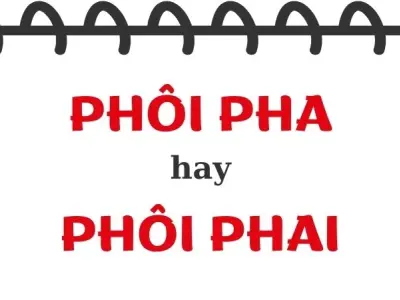 Phôi pha hay phôi phai đúng chính tả bạn đã biết chưa