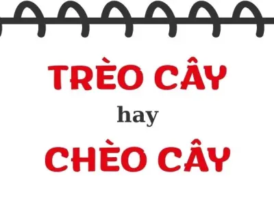 Trèo cây hay chèo cây đúng chính tả? Những điểm cần lưu ý