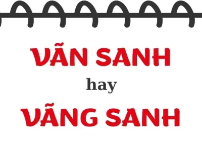 Vãn sanh hay vãng sanh đúng chính tả theo Phật giáo