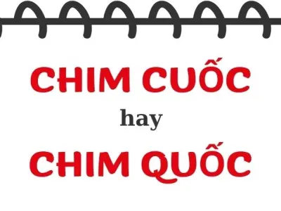 Chim cuốc hay chim quốc đúng chính tả gây nhầm lẫn