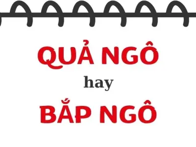 Bắp ngô hay quả ngô đúng chính tả theo ngữ cảnh đời sống