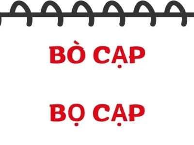 Bò cạp hay bọ cạp đúng chính tả bạn đã biết hay chưa