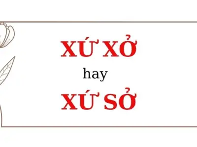 Xứ sở hay xứ xở đúng chính tả? Đừng để viết sai nữa