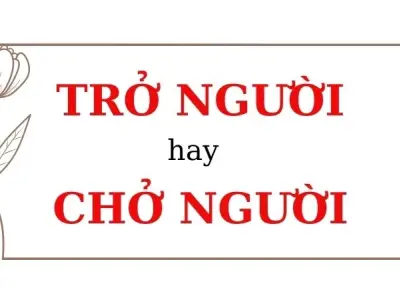 Trở người hay chở người đúng chính tả dễ gây ngộ nhận
