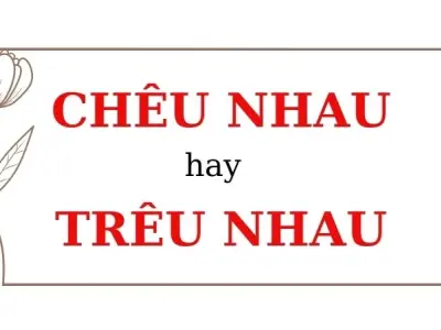 Chêu nhau hay trêu nhau đúng chính tả? Tìm ngay câu trả lời