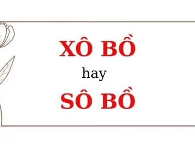 Xô bồ hay sô bồ đúng chính tả? Cách phân biệt dễ nhớ