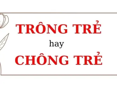 Trông trẻ hay chông trẻ đúng chính tả? Cẩn thận kẻo sai