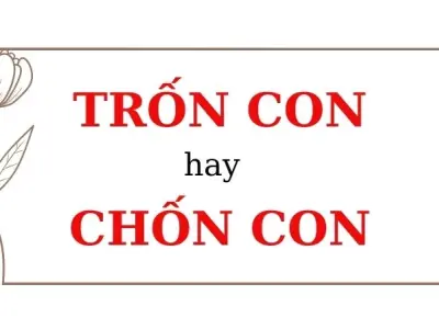 Trốn con hay chốn con đúng chính tả? Lỗi dễ mắc nhất