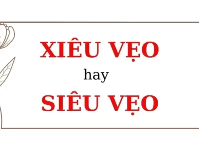 Xiêu vẹo hay siêu vẹo đúng chính tả khiến ai cũng nhầm