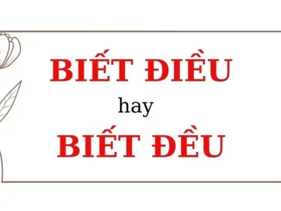 Biết đều hay biết điều đúng chính tả ai cũng cần nắm rõ