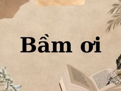 Bầm ơi (Tố Hữu) – Tiếng Việt lớp 5 và tình mẹ bất tận