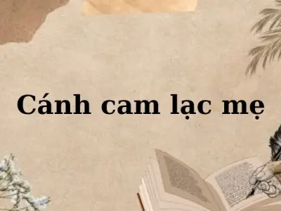 Lời giải bài tập chính tả - Cánh cam lạc mẹ (Ngân Vịnh)