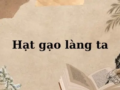 Hướng dẫn giải Hạt gạo làng ta Tiếng Việt lớp 5 trang 17, 18
