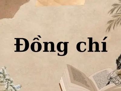 Phân tích tác giả, tác phẩm bài thơ Đồng Chí (Chính Hữu)