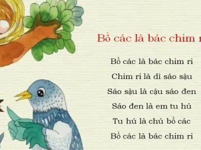 Bài đồng dao Bồ các là bác chim ri cho bé mầm non
