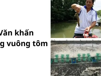 Hướng dẫn văn khấn cúng vuông tôm cầu tài lộc và may mắn
