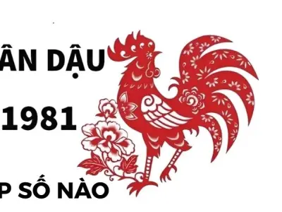 Bật mí bí mật tuổi Tân Dậu 1981 hợp số nào dễ phát tài?