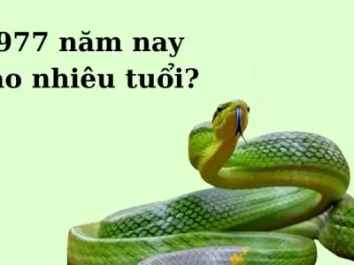 Sinh năm 1977 năm nay bao nhiêu tuổi chính xác nhất