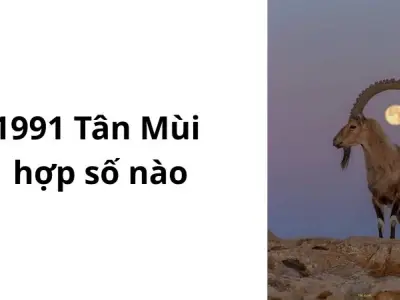 1991 hợp số nào để thu hút tài lộc và sự nghiệp thăng hoa