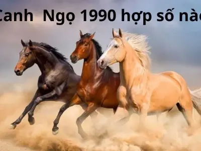 Sinh năm 1990 hợp số nào nhất giúp thay đổi vận mệnh