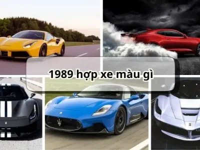 1989 hợp xe màu gì giúp bạn thu hút tài lộc và may mắn