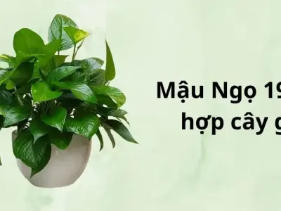 1978 hợp cây gì? Chọn đúng cây giúp gia đạo bình an