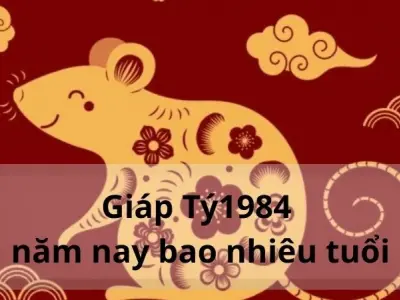 Tuổi Giáp Tý 1984 năm nay là bao nhiêu? Tính tuổi chuẩn 2025