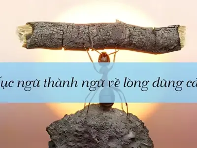 Ca dao tục ngữ về lòng dũng cảm và tinh thần kiên cường