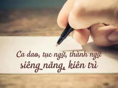 Ca dao tục ngữ về siêng năng kiên trì và nỗ lực hay nhất