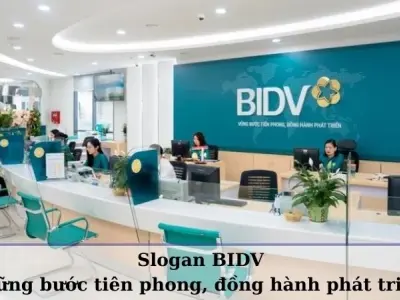Ý nghĩa slogan BIDV - Vững bước tiên phong, đồng hành phát triển