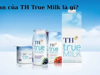 Slogan của TH True Milk - Khám phá sức mạnh thương hiệu