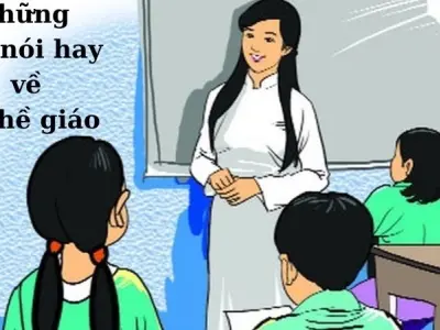 Tổng hợp 50+ câu nói hay nhất về nghề giáo cao quý