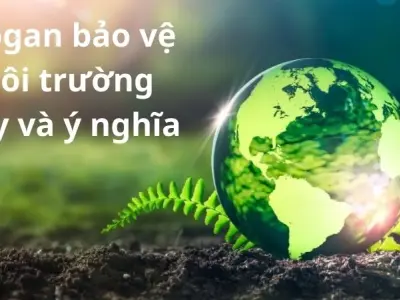55+ Slogan bảo vệ môi trường truyền cảm hứng hành động
