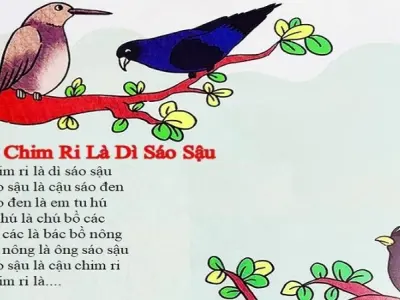 Bài đồng dao Chim ri là dì sáo sậu và ý nghĩa ẩn dụ