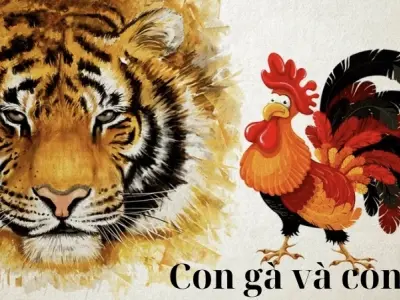 Tóm tắt truyện cổ tích Con gà và con hổ ngắn gọn nhất