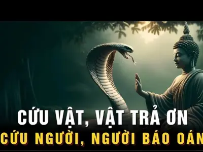Tóm tắt truyện cổ tích Cứu vật, vật trả ơn, Cứu nhân, nhân báo oán ngắn hay