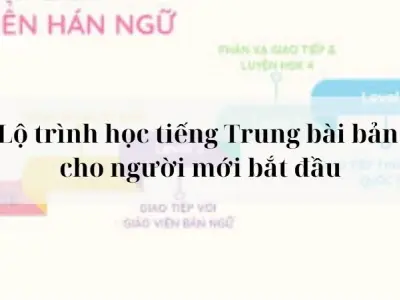 Lộ trình học tiếng Trung bài bản cho người mới bắt đầu