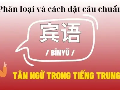 Tân ngữ trong tiếng Trung - Phân loại và cách đặt câu chuẩn