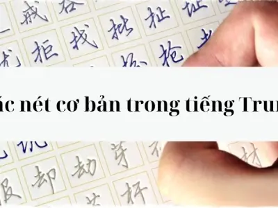 Hướng dẫn học các nét cơ bản trong tiếng Trung dễ hiểu