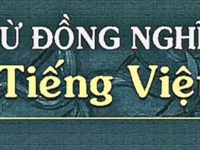Khám phá hệ thống từ đồng nghĩa tiếng Việt dễ hiểu, dễ nhớ