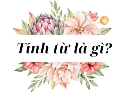 Tính từ là gì trong tiếng Việt? Phân loại và cách sử dụng