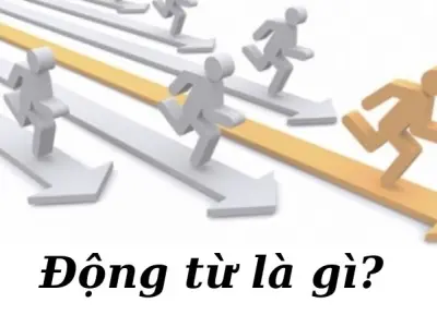 Động từ là gì trong tiếng Việt? Vai trò và ứng dụng