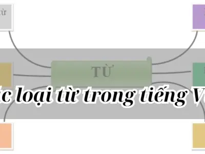 Các loại từ trong tiếng Việt, phân loại, ví dụ và cách dùng