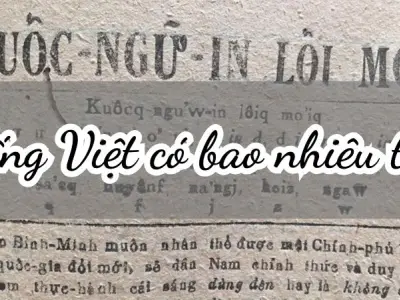 Tiếng Việt có bao nhiêu từ? Khám phá kho tàng ngôn ngữ Việt