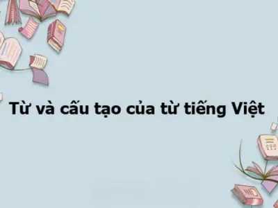 Cấu tạo từ trong tiếng Việt - Khái niệm, phân loại và ví dụ