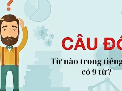 Từ nào trong tiếng Việt có 9 từ? Đáp án được hé lộ