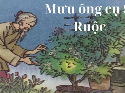Truyện cổ tích Việt Nam - Mưu ông cụ Si Ruộc tóm tắt