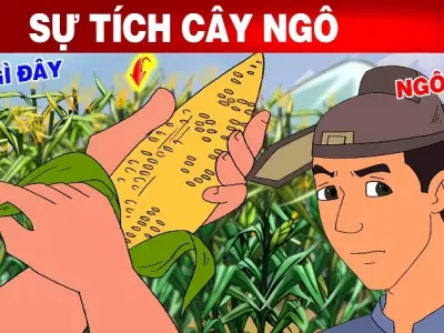 Tóm tắt truyện cổ tích Việt Nam - Sự tích cây ngô